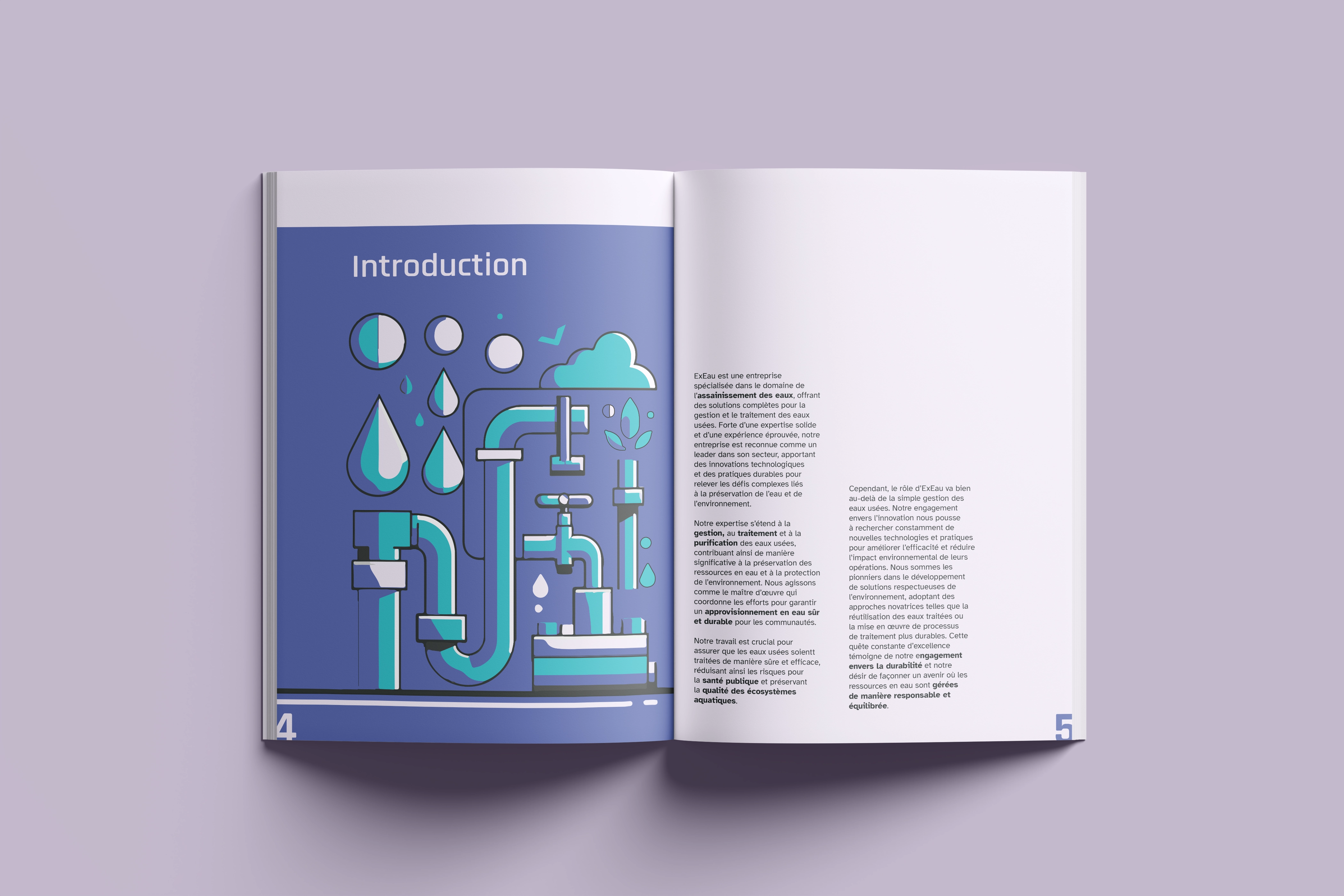 Standard layout for ExEau's CSE report with an illustration on the left and text on the right.