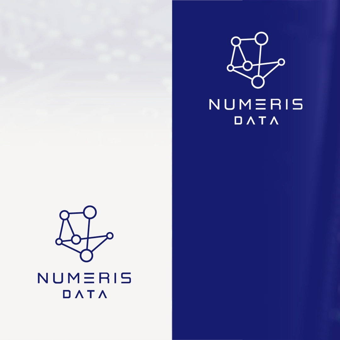 Logo de Numéris Data présenté sur deux fonds différents, bleu et blanc.